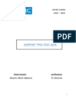 Rapport Tp01