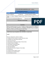 FichasMaterias - 7 - 4º A 6º PLAN ÚLTIMO 2