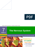 9 - Nervous System