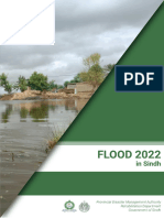 Flood 2022 in Sindh