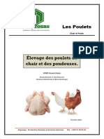 Elevage de Poulets de Chair Et de Pondeuses