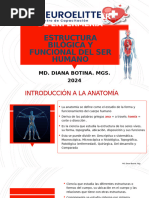 Clase 3. Anatomía