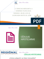 Cedulas Hipotecarias - Certificados Fiduciarios y Acciones Cambiarias