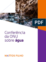 Conferencia Da Onu Sobre Agua