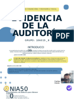 Evidencia de La Auditoría (1) (1) (1) .1