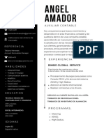 Curriculum Angel Amador. Contador