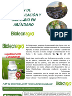 Plan de Bioestimulacion en Arándano Biotecnagro