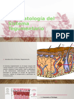 Fisiopatología Del Sistema Tegumentario