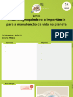 Ciclos Biogeoquímicos: A Importância para A Manutenção Da Vida No Planeta