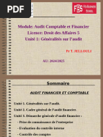 Audit Généralités JELLOULI.