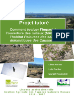 Rapport Projettutore Fdc48 2016-2017