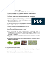 Chlorella Chlamydomonas Spirogyra Chara Ulva Sargassum