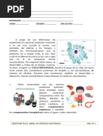 Caracteristicas de Los Seres Vivos 2024