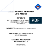 Universidad Peruana Los Andes