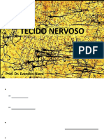 Tecido Nervoso - Med