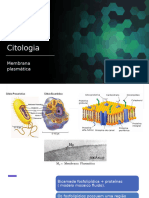 Membrana Plasmática