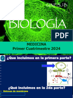 20 de Mayo EUCARIOTAS NUCLEO 2024