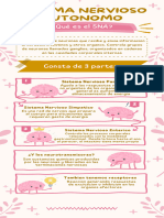 Infografia Sistema NERVIOSO AUTONOMO