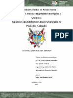 Anatomia QX Del Abdomen