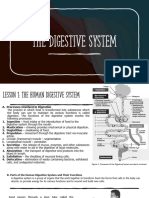 The Digestive System