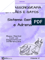 Ebook - Sistema Genital e Adrenal