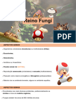 Reino Fungi - 20240919 - 092151 - 0000