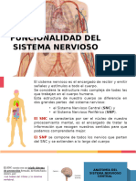 Clase 3 Neurociencias