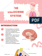 Hypothalamus Project - 20240805 - 230453 - 0000