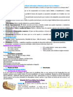 Parcial I Cirugia