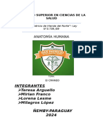 Anatomía Humana: Integrantes Teresa Arguello Mirian Franco Lorena Lesme Milagros López Ñemby-Paraguay 2024