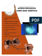 Los Ácidos Nucleicos