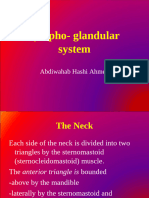 Hid - LYMPHOGLANDULAR SYSTEM