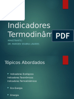 Indicadores Termodinâmicos