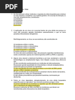 PDF Documento