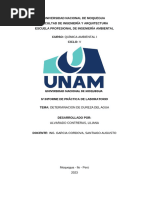 IV Informe Quimica Ambiental