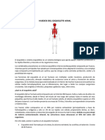 HUESOS DEL ESQUELETO AXIAL - Docx IMPRIMIR