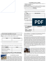 PDF Documento