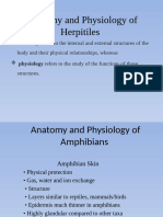 Anatomy and Physiology of Herpitiles