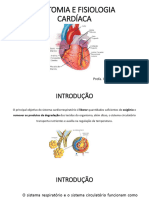 Anatomia Cardã Aca - Isabela