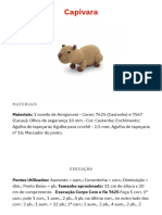 Capivara Circulo