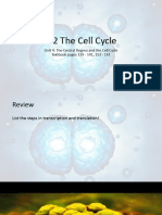 4.2 The Cell Cycle