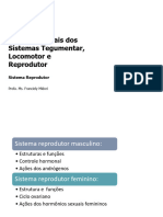 Ciências Morfofuncionais Dos Sistemas Tegumentar, Locomotor e Reprodutor