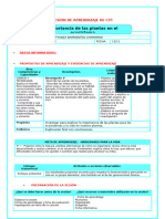 Iv Ses Jue 21 Cyt Importancia de Las Plantas