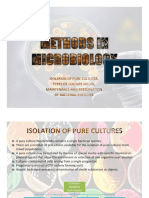 Methods in Microbiology