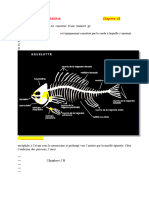 ANATOMIE DES POISSONS Tuile 3