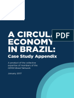 A Circular Economy in Brazil Case Study Appendix