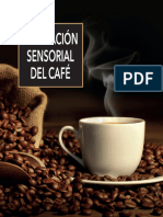 Evaluación Sensorial Del Café