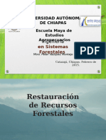 3 Restauracion Ecologica