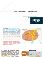 Clase 4. Nutricion, Metabolismo y B