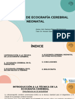 Sesion r3 Ines Santana Guia Clinica de Ecografia Cerebral Neonatal 1